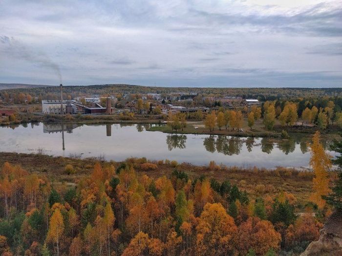 Фото кедровый красноярский край