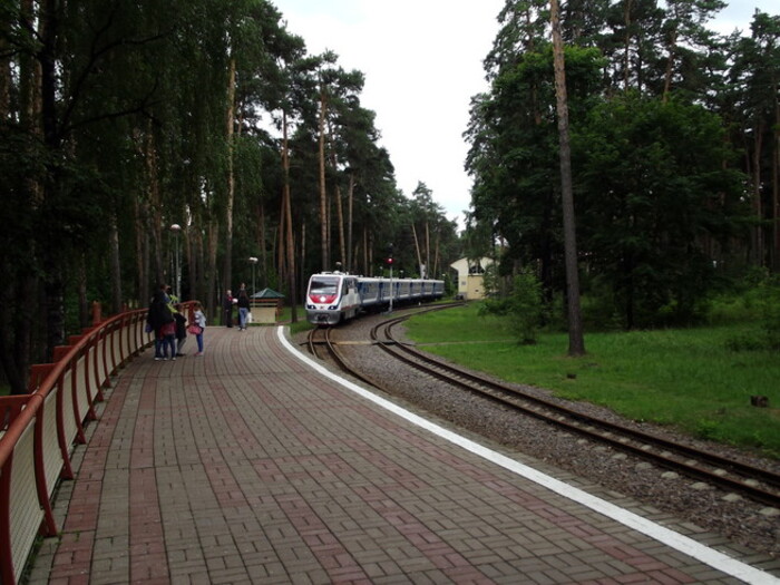 Опять в Кратово лес рубят