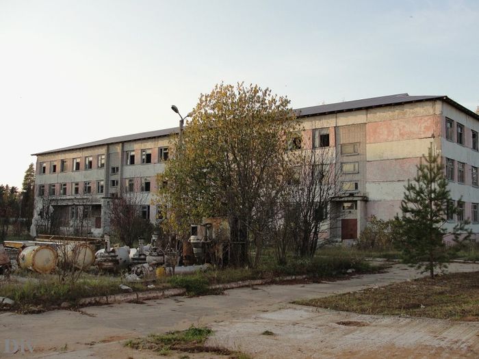 поселок Левинцы