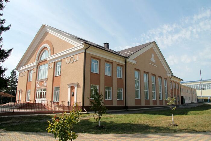 Дом культуры с. Нижнедевицк Воронежская область